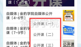 免费公开在线视频,揭秘免费公开在线视频的魅力与价值
